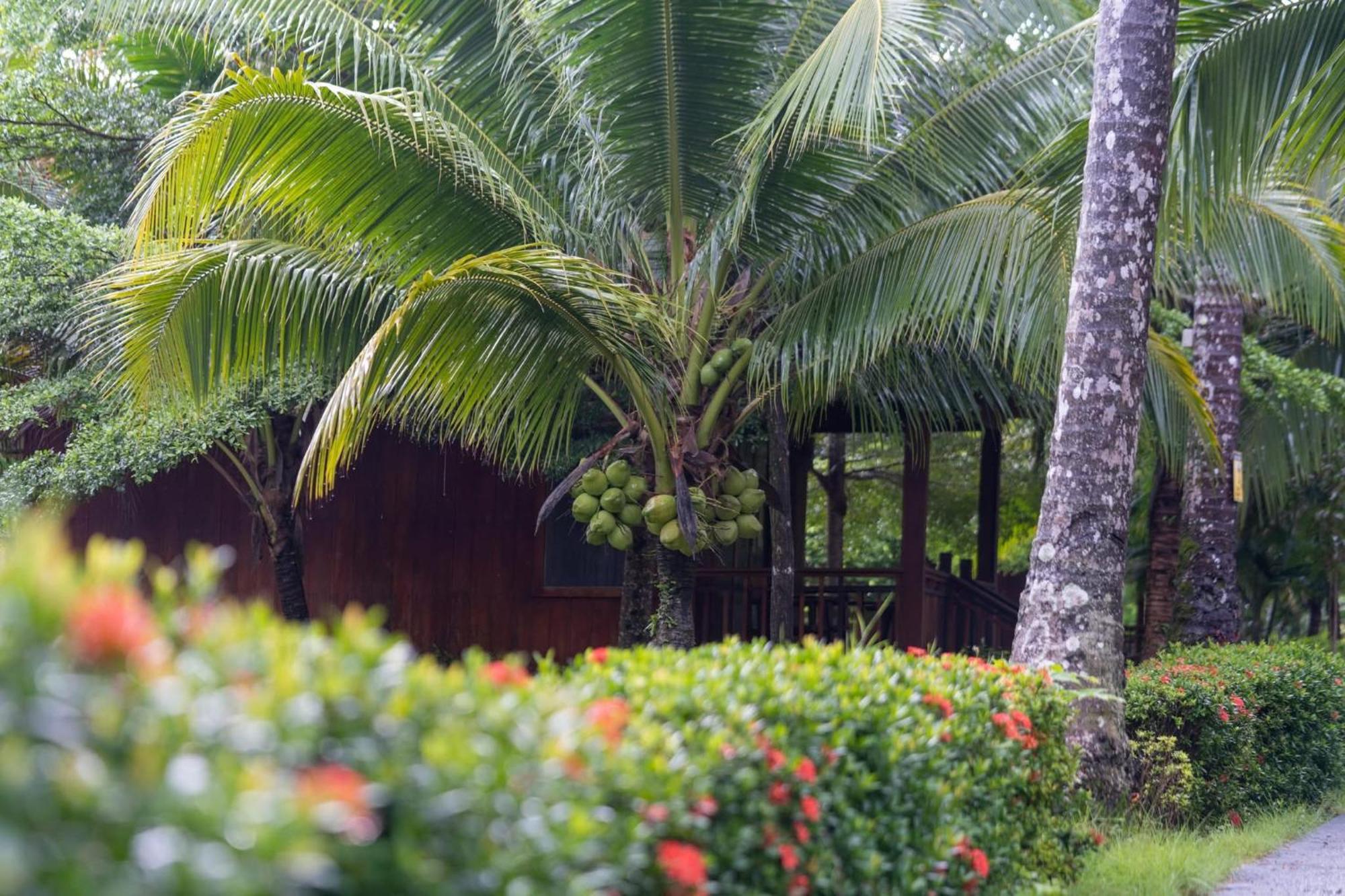 Mafiya Resort Thansour beach Kültér fotó